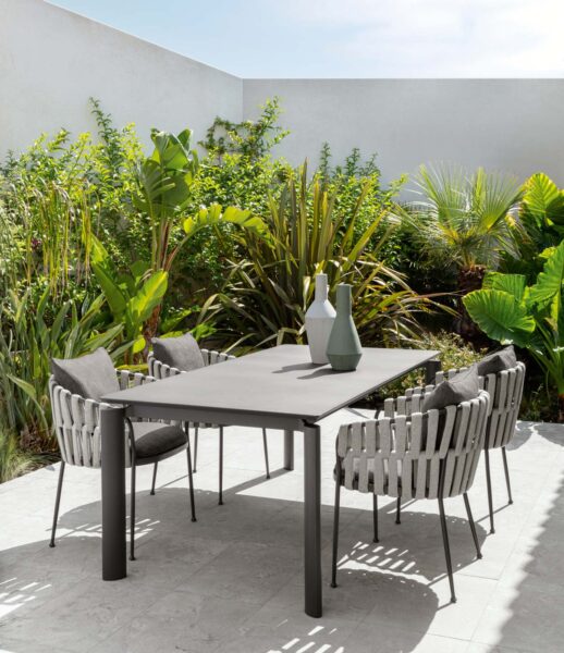 Frame Dining armchair 1