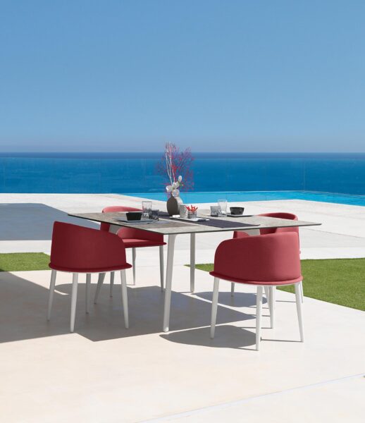 CleoSoft//Alu 220×100 Dining Table 4