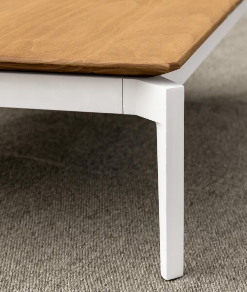 Leaf 70×100 coffee table 3