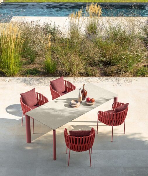 Frame Dining armchair 6